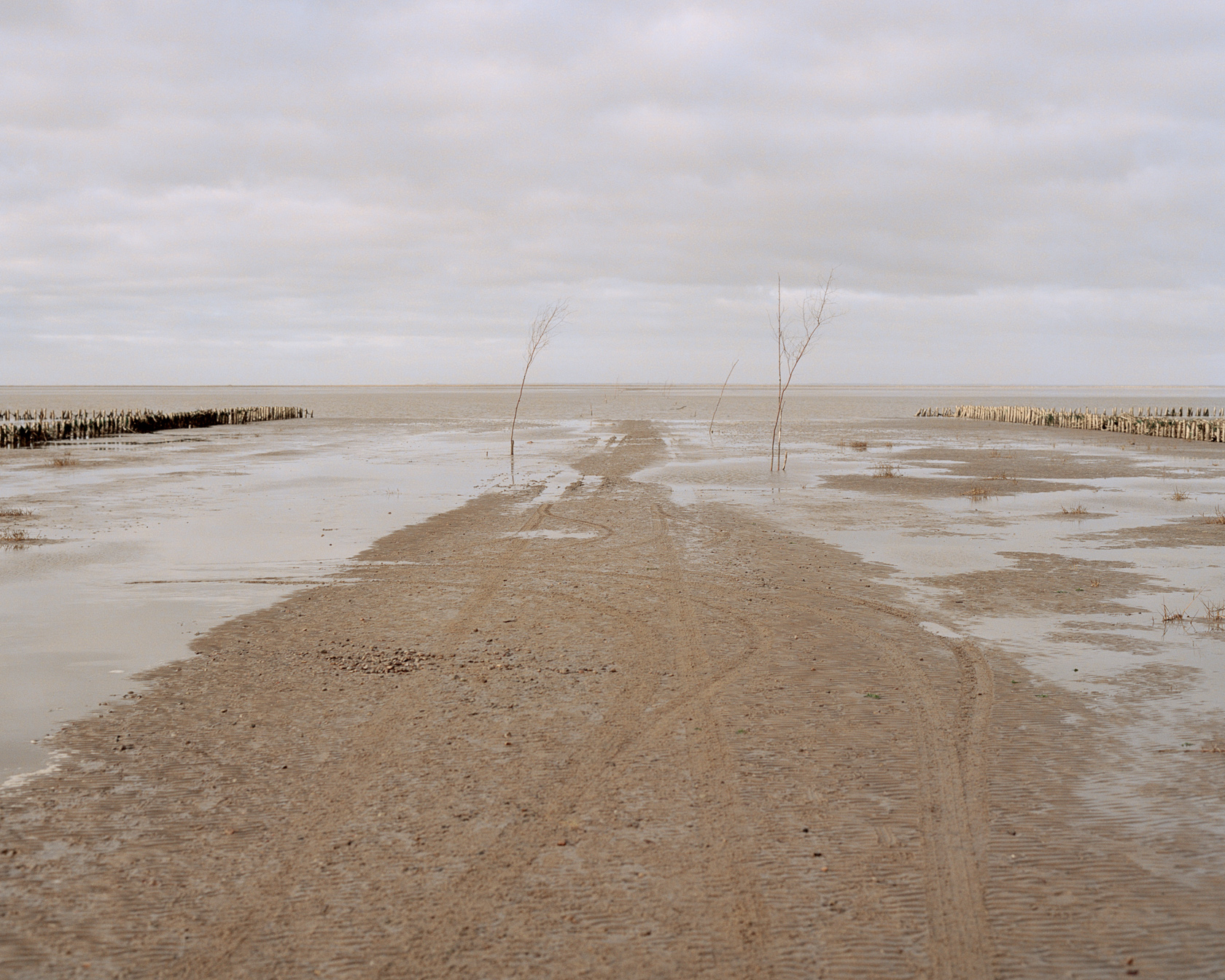 Coastland-7